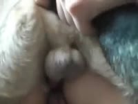 Amateur beastiality lover got banged by dog's cock
